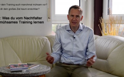 LOST: Was du vom Nachtfalter über mühsames Training lernen kannst